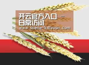 开云官方入口 - 日常访问