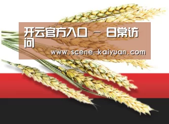 开云官方入口 - 日常访问