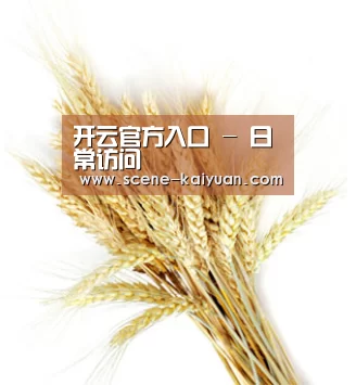 开云官方入口 - 日常访问