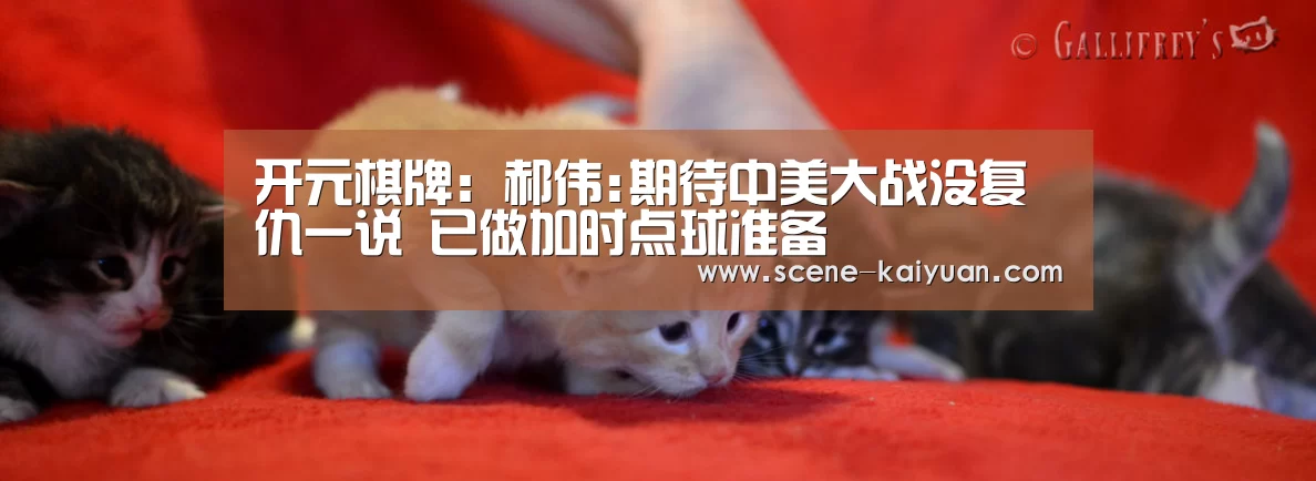 开元棋牌:郝伟:期待中美大战没复仇一说 已做加时点球准备(图2) 开元棋牌app