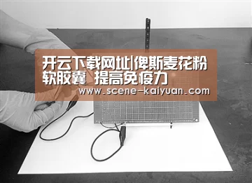 开云下载网址