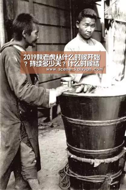 开云下载网址