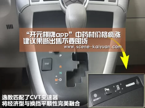 开云下载网址