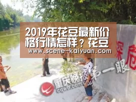 2019年花豆最新价格行情怎样?花豆的功效与禁忌,选购方法【开元棋牌】(图1) 开元棋牌