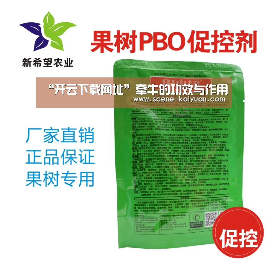 “开云下载网址”牵牛的功效与作用(图1) 开云下载网址