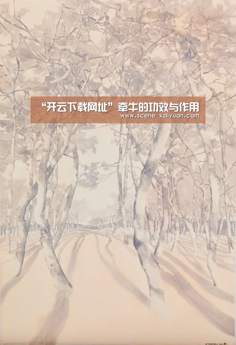 “开云下载网址”牵牛的功效与作用(图4) 开元棋牌app